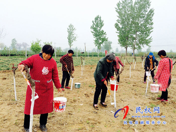 花園鄉(xiāng)加強樹木管護確保成活率 花園鄉(xiāng)加強樹木管護確保成活率