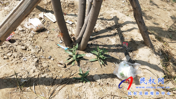【不文明行為曝光臺】市民觀景不文明 城市環(huán)境“小受傷” 【不文明行為曝光臺】市民觀景不文明 城市環(huán)境“小受傷”