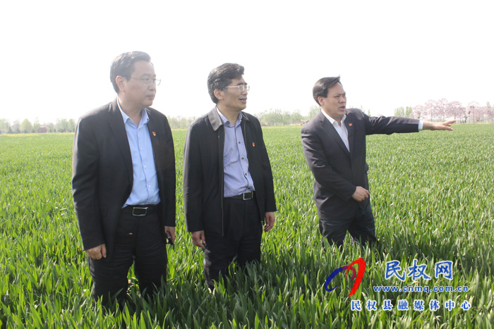 市委書(shū)記王戰(zhàn)營(yíng)到我縣調(diào)研糧食生產(chǎn)工作時(shí)強(qiáng)調(diào):扛穩(wěn)糧食生產(chǎn)政治責(zé)任 確保奪取夏糧豐收 市委書(shū)記王戰(zhàn)營(yíng)到我縣調(diào)研糧食生產(chǎn)工作時(shí)強(qiáng)調(diào):扛穩(wěn)糧食生產(chǎn)政治責(zé)任 確保奪取夏糧豐收