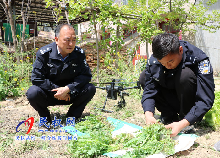 無人機(jī)撒下“天網(wǎng)” 毒罌粟無處遁形 無人機(jī)撒下“天網(wǎng)” 毒罌粟無處遁形