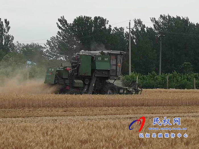 民權(quán)“三夏”生產(chǎn)進(jìn)行時南華辦事處啟動麥?zhǔn)铡暗谝荤牎? title=