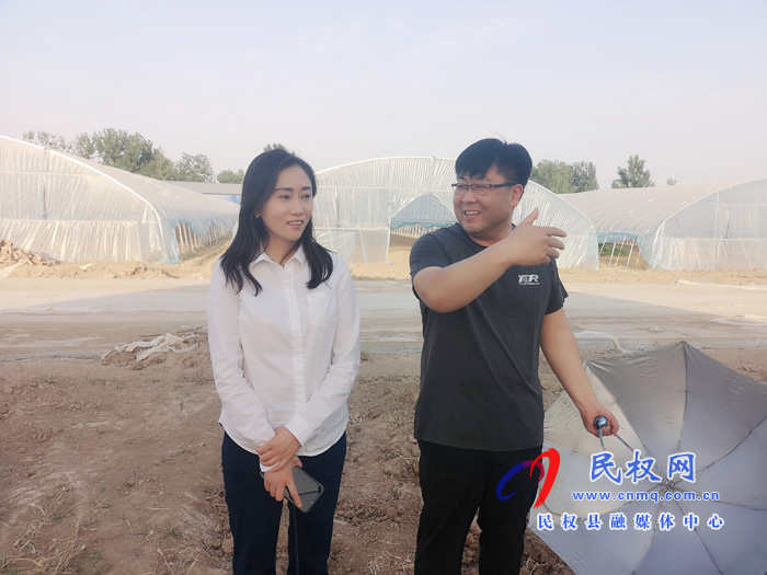 副縣長(zhǎng)朱琳到老顏集鄉(xiāng)調(diào)研指導(dǎo)三夏生產(chǎn)、產(chǎn)業(yè)發(fā)展工作