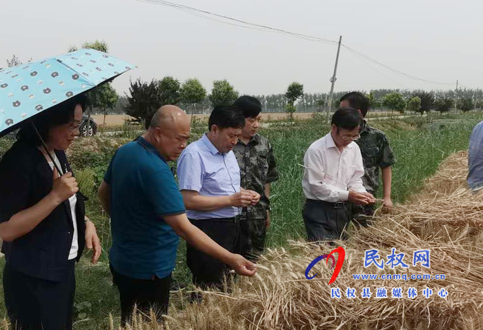 省國調(diào)隊到我縣調(diào)研夏糧生產(chǎn)等工作開展情況 省國調(diào)隊到我縣調(diào)研夏糧生產(chǎn)等工作開展情況