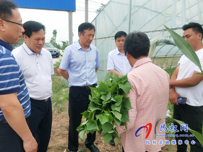 河南省人力資源和社會保障廳巡視員張榮瑞一行到我縣調研 河南省人力資源和社會保障廳巡視員張榮瑞一行到我縣調研