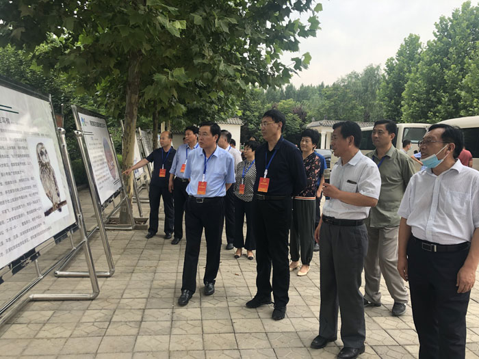 市人大執(zhí)法檢查組到我縣開展野生動物保護(hù) “一法一決定”執(zhí)法檢查 市人大執(zhí)法檢查組到我縣開展野生動物保護(hù) “一法一決定”執(zhí)法檢查