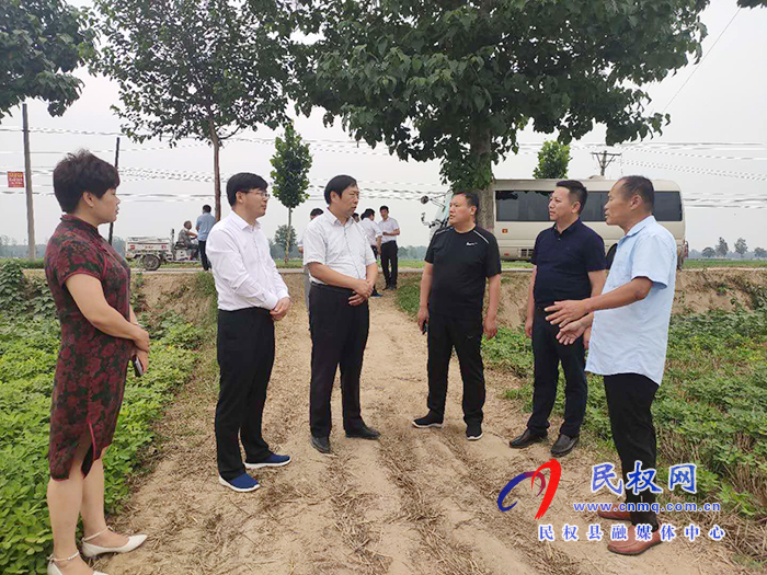 省農(nóng)業(yè)農(nóng)村廳黨組成員、總農(nóng)藝師王俊忠到我縣調(diào)研花生生產(chǎn)情況