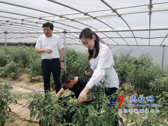 副縣長朱琳到老顏集鄉(xiāng)調(diào)研指導(dǎo)扶貧工作