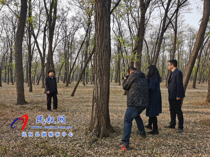 新華社河南分社社長(zhǎng)王丁一行蒞臨我縣開(kāi)展采風(fēng)活動(dòng) 新華社河南分社社長(zhǎng)王丁一行蒞臨我縣開(kāi)展采風(fēng)活動(dòng)