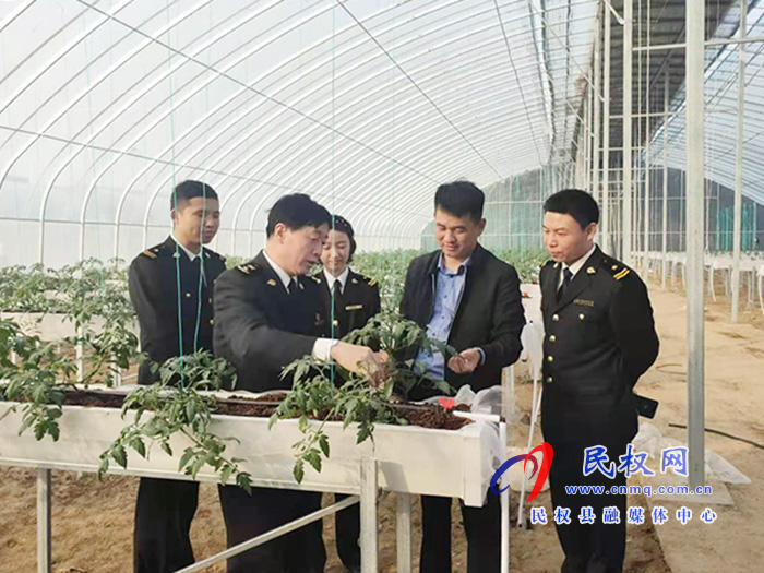 縣委常委、副縣長房季到雙塔鎮(zhèn)蘆筍大棚產(chǎn)業(yè)園調(diào)研產(chǎn)業(yè)發(fā)展