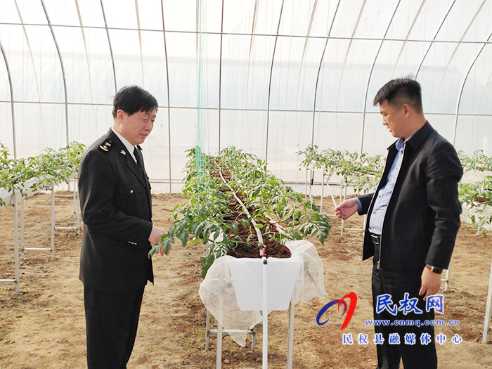 縣委常委、副縣長房季到雙塔鎮(zhèn)蘆筍大棚產(chǎn)業(yè)園調(diào)研產(chǎn)業(yè)發(fā)展