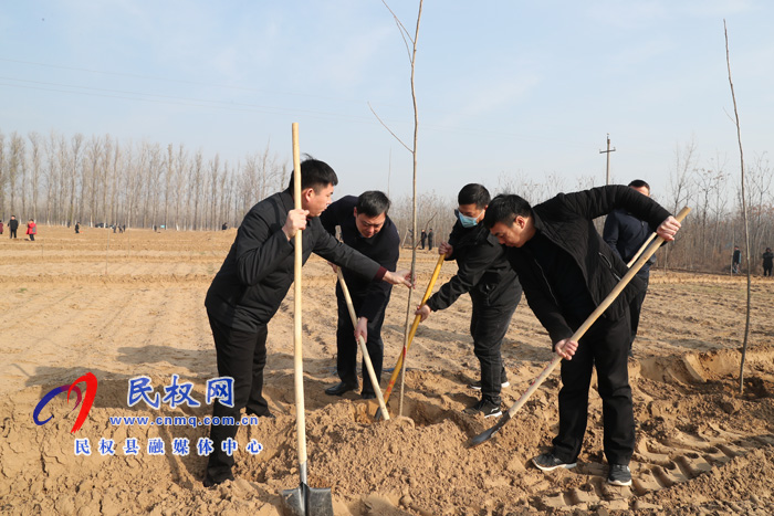 我縣組織開(kāi)展冬季義務(wù)植樹(shù)活動(dòng)