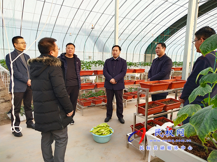 中國蔬菜流通協(xié)會到我縣調(diào)研高效農(nóng)業(yè)發(fā)展情況 中國蔬菜流通協(xié)會到我縣調(diào)研高效農(nóng)業(yè)發(fā)展情況