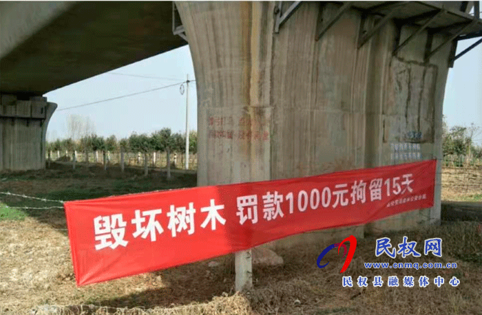 林業(yè)發(fā)展服務中心開展打擊破壞森林資源專項行動 林業(yè)發(fā)展服務中心開展打擊破壞森林資源專項行動