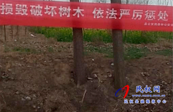 林業(yè)發(fā)展服務中心開展打擊破壞森林資源專項行動 林業(yè)發(fā)展服務中心開展打擊破壞森林資源專項行動