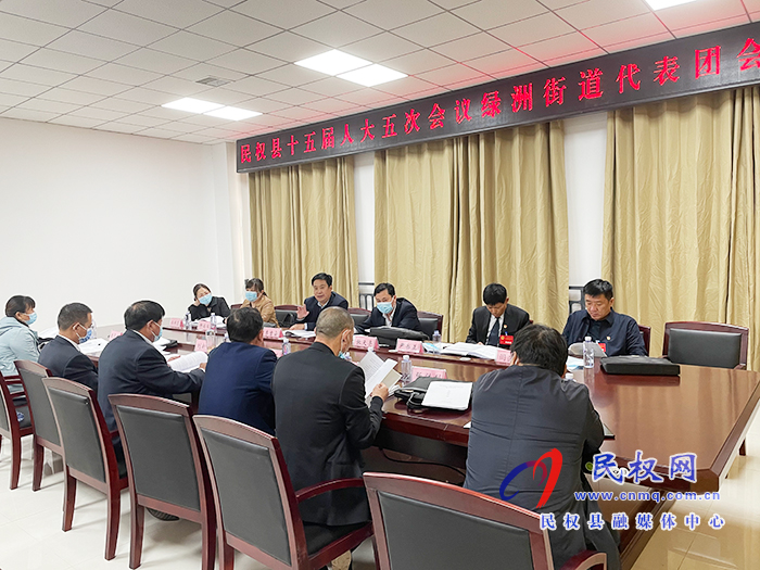 綠洲街道代表團審議《政府工作報告》等六個報告 綠洲街道代表團審議《政府工作報告》等六個報告