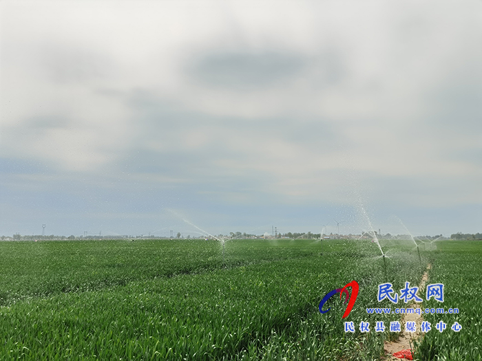 市人大常委會副主任、縣委書記姬脈常察看春季農(nóng)業(yè)生產(chǎn)及高標準糧田建設(shè)工作