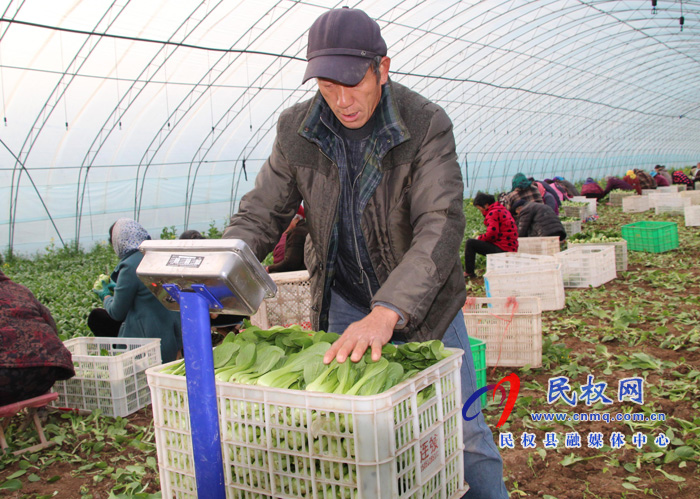褚廟鄉(xiāng)“五個聚焦”促進(jìn)返鄉(xiāng)創(chuàng)業(yè)就業(yè) 褚廟鄉(xiāng)“五個聚焦”促進(jìn)返鄉(xiāng)創(chuàng)業(yè)就業(yè)