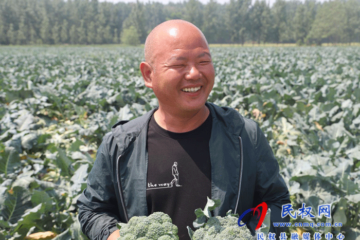 莊子鎮(zhèn)種上西蘭花 摘下“致富花” 莊子鎮(zhèn)種上西蘭花 摘下“致富花”