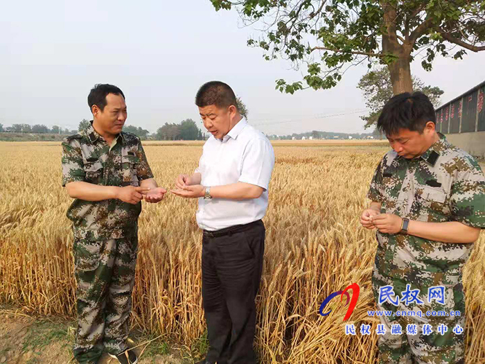 副縣長(zhǎng)張士彬到白云寺鎮(zhèn)督導(dǎo)“三夏”生產(chǎn)暨秸稈禁燒工作 副縣長(zhǎng)張士彬到白云寺鎮(zhèn)督導(dǎo)“三夏”生產(chǎn)暨秸稈禁燒工作