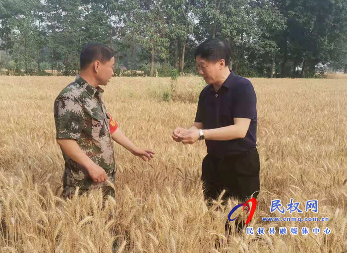 縣委常委、副縣長房季到龍?zhí)伶?zhèn)檢查督導(dǎo)三夏生產(chǎn)、秸稈禁燒工作