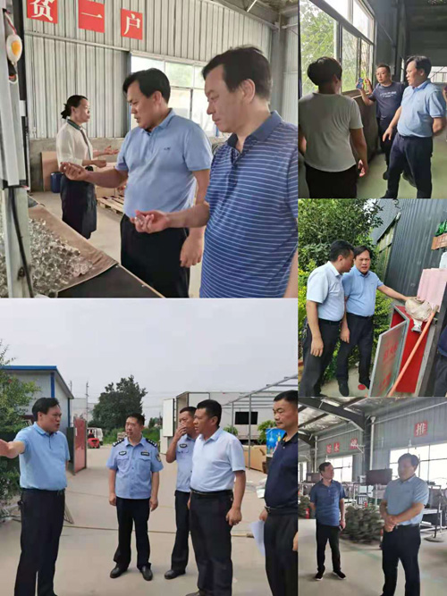 縣委常委、政法委書記、副縣長孟祥亮到部分鄉(xiāng)鎮(zhèn)檢查督導(dǎo)扶貧車間安全生產(chǎn)落實情況