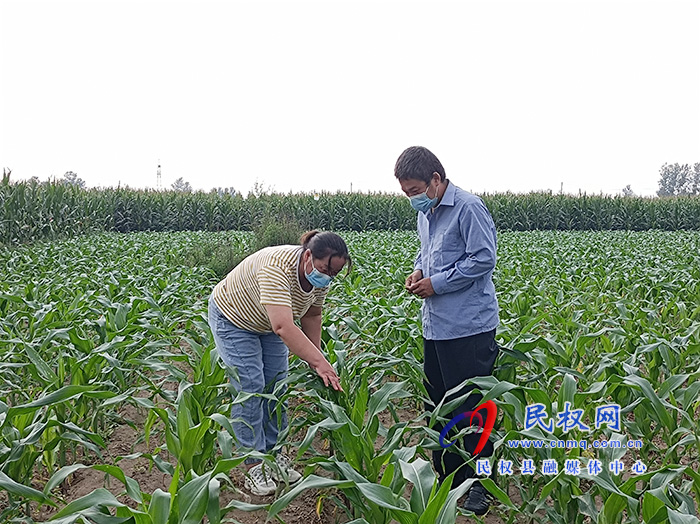 草地貪夜蛾入侵 我縣農(nóng)業(yè)部門緊急行動(dòng)組織防控?? 草地貪夜蛾入侵 我縣農(nóng)業(yè)部門緊急行動(dòng)組織防控??