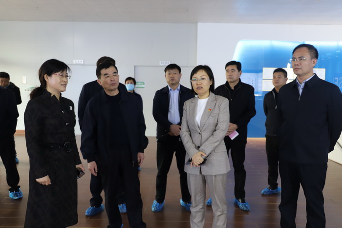 縣委副書記、縣長王靜嫻調(diào)深入高新區(qū)企業(yè)調(diào)研
