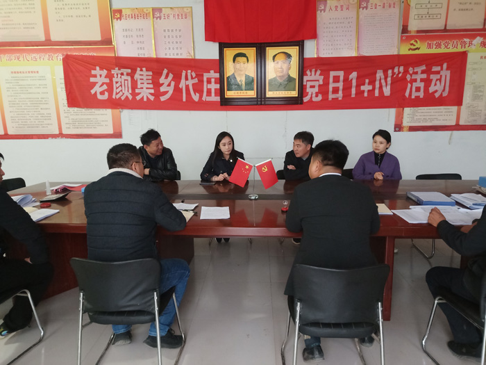 副縣長朱琳、李天樁到老顏集鄉(xiāng)督導脫貧攻堅后評估工作、整村推進和人居環(huán)境整治工作
