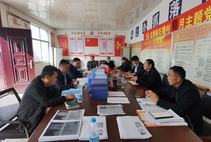 縣高新區(qū)管委會(huì)副主任張玉棟到龍?zhí)伶?zhèn)督導(dǎo)軟弱渙散村黨組織整頓和鞏固脫貧攻堅(jiān)成果后評(píng)估工作