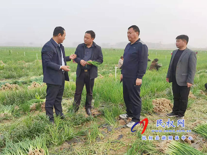 副縣長李衛(wèi)政到白云寺鎮(zhèn)調研土地流轉和高標準良田建設工作