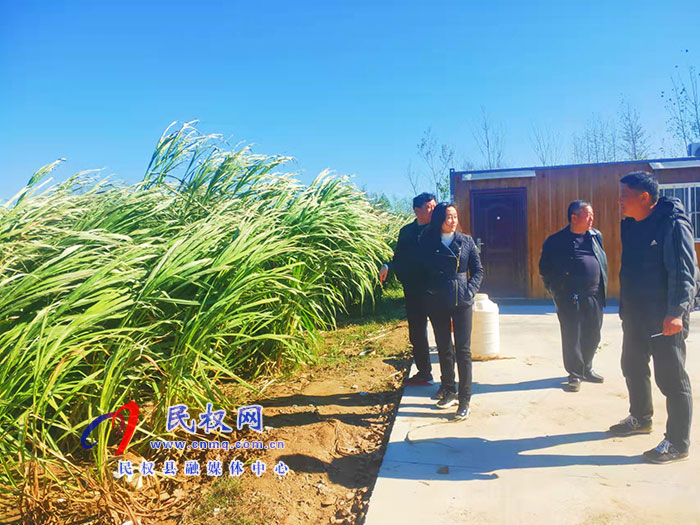 副縣長(zhǎng)朱琳到老顏集鄉(xiāng)調(diào)研撤村并居、產(chǎn)業(yè)發(fā)展等工作