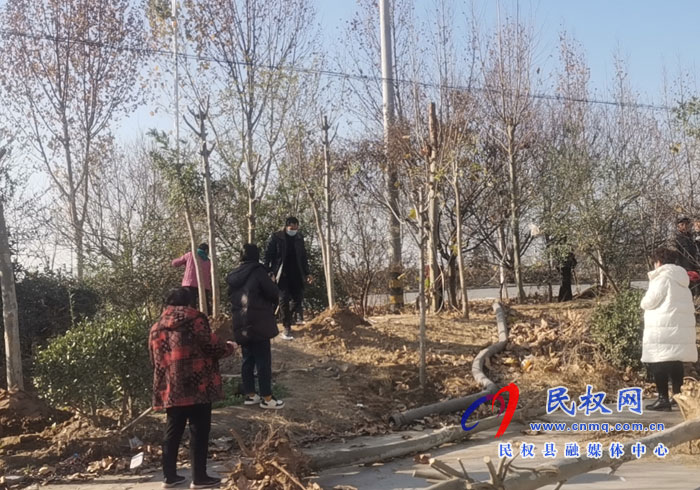 南華辦事處全面開展植樹綠化行動促進人居環(huán)境改善