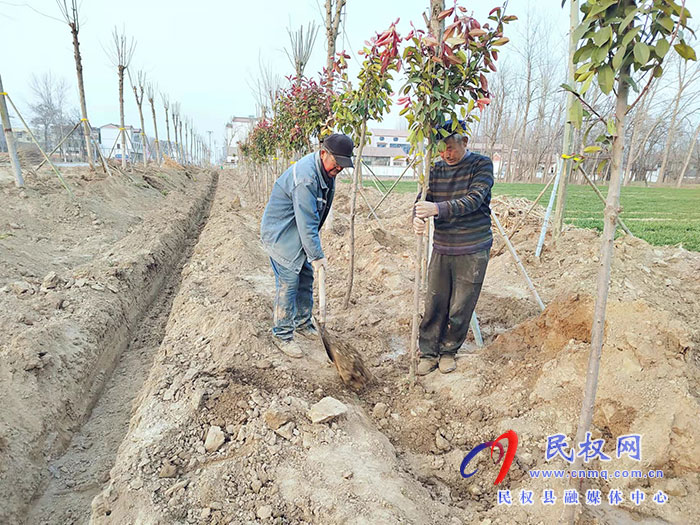 白云寺鎮(zhèn):植樹添新綠，不負(fù)好春光
