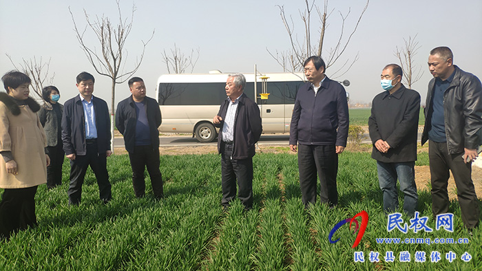 省農(nóng)業(yè)農(nóng)村廳黨組成員、副廳長王俊忠到民調(diào)研春季麥田管理工作