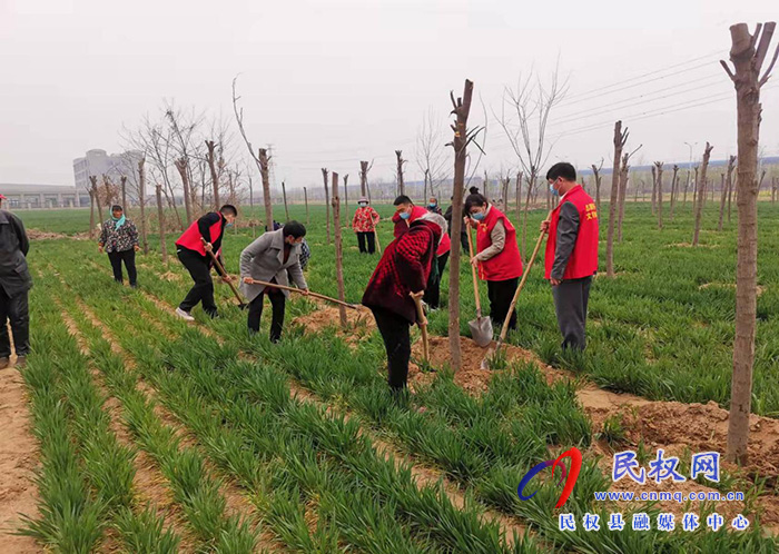 春暖三月學(xué)雷鋒，植樹(shù)護(hù)綠我先行