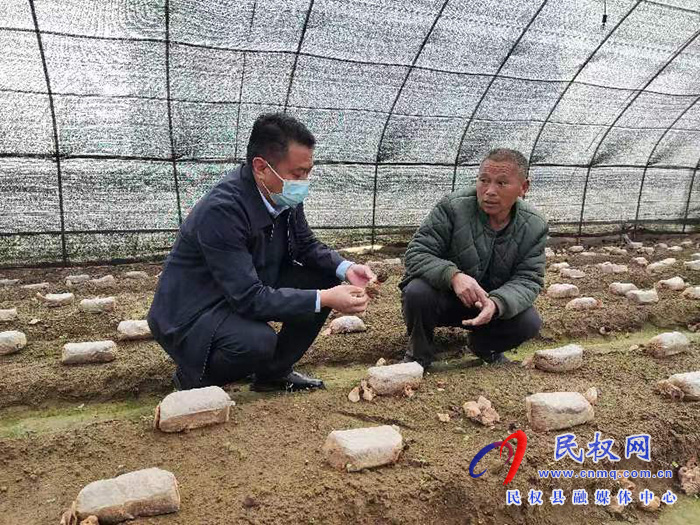 縣高新區(qū)管委會副主任張玉棟到龍?zhí)伶?zhèn)督導疫情防控、“三零創(chuàng)建”等重點工作