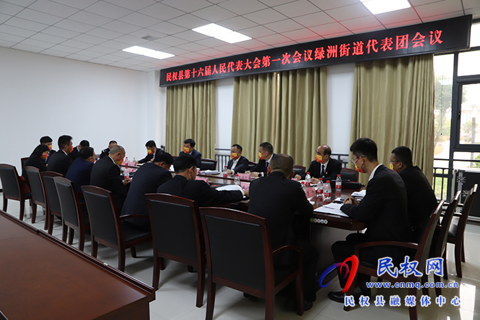 縣領導周明河、王景義參加各代表團審議