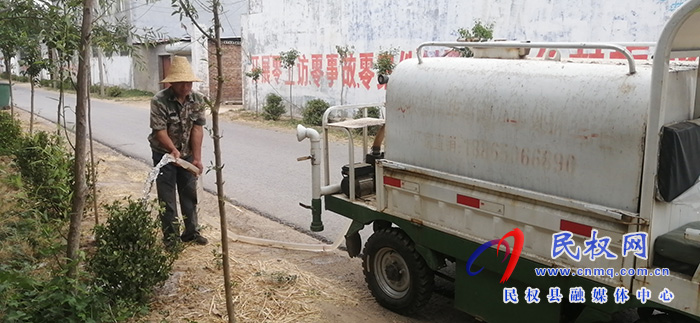 南華街道辦事處加強綠化苗木管護工作