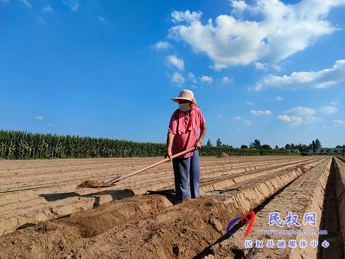 花園鄉(xiāng)防疫生產(chǎn)兩不誤民生保障落實(shí)處