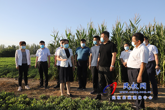 縣委副書記、縣長王靜嫻查看抗旱保秋、農(nóng)村人居環(huán)境整治工作