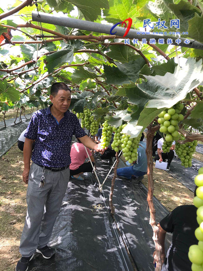民權縣園藝站采取“三項措施”為群眾解難題辦實事