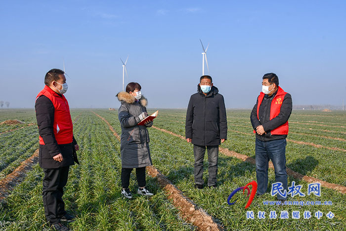 民權(quán)縣人和鎮(zhèn)：加強(qiáng)冬季麥田管理，確保小麥安全越冬