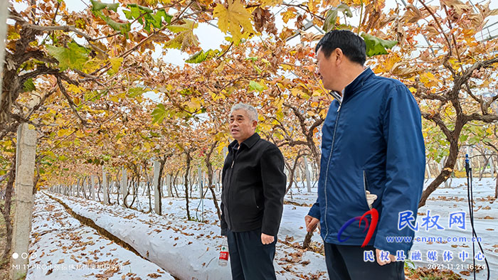 小菌菇 大能量——林下種植菌菇，助推鄉(xiāng)村振興