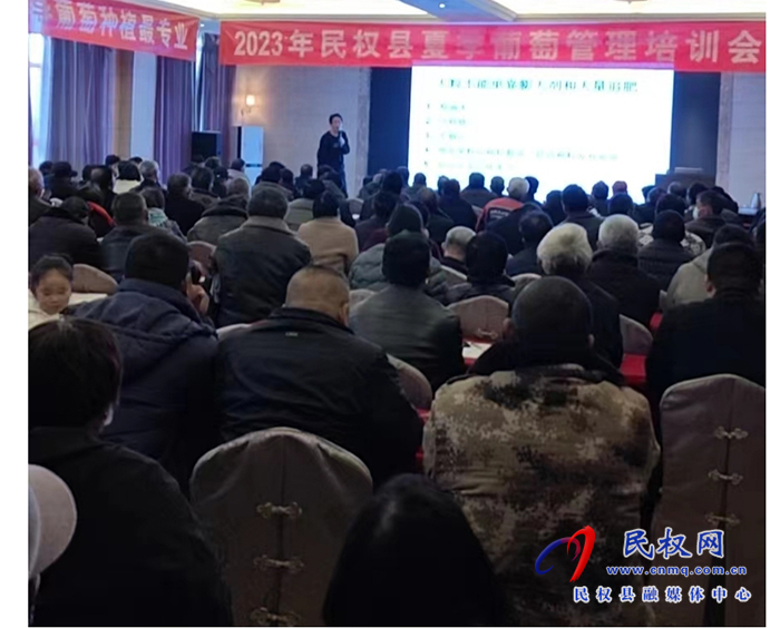 民權(quán)縣園藝站召開2023年大型葡萄夏季管理培訓會