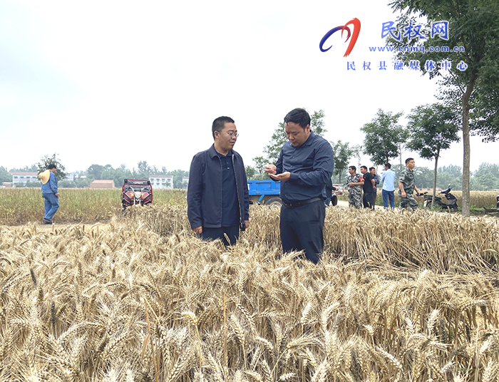 副縣長(zhǎng)李衛(wèi)政到我縣部分鄉(xiāng)鎮(zhèn)督導(dǎo)“三夏”生產(chǎn)工作