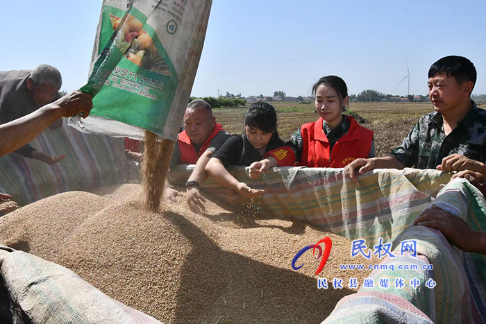 人和鎮(zhèn)志愿者幫扶隊助力“三夏”麥收