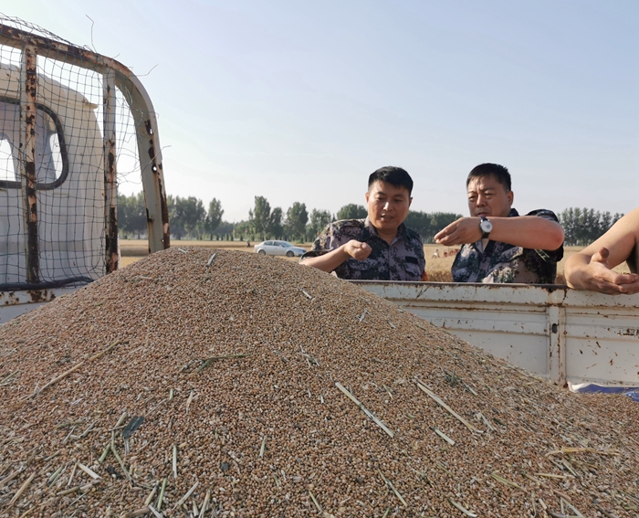 莊子鎮(zhèn)：慰問(wèn)跨區(qū)作業(yè)機(jī)手，真情服務(wù)“三夏”農(nóng)忙