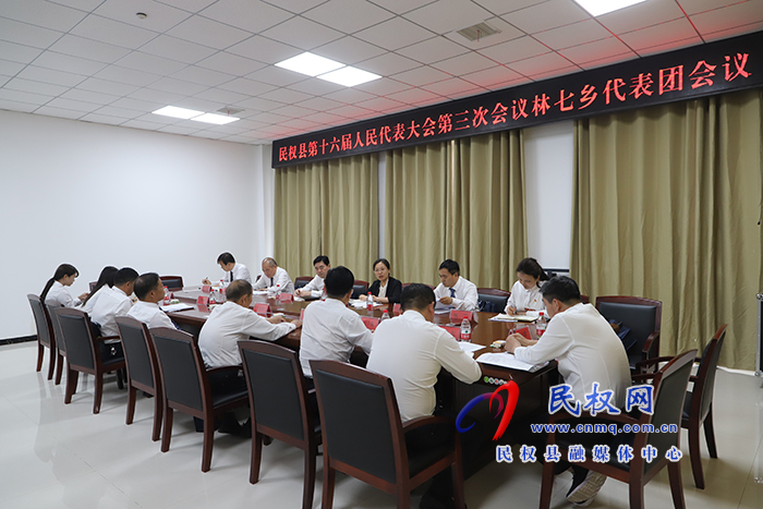 縣委書(shū)記、縣長(zhǎng)王靜嫻參加林七鄉(xiāng)代表團(tuán)審議