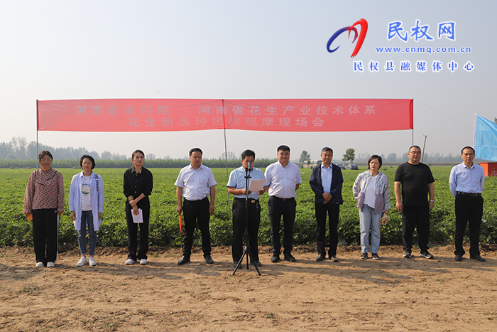 河南省農科院 河南省花生產業(yè)技術體系花生新品種民權觀摩現場會舉行