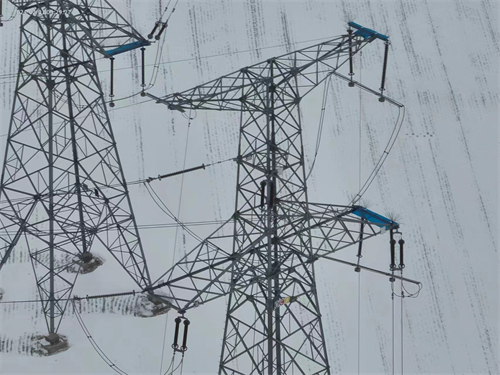 民權縣供電公司：朔風凜冽雪紛飛 ?供電保障正當時